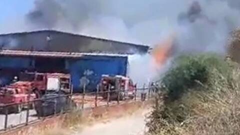 Λακωνία: Φωτιά σε μονάδα συσκευασίας εσπεριδοειδών στον Δήμο Ευρώτα