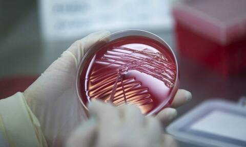 Μικροβιακή αντοχή: Αύξηση του παγκόσμιου αριθμού θανάτων από βακτηριακές λοιμώξεις