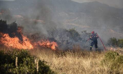 Σέρρες: Τσουχτερό πρόστιμο σε γυναίκα που έβαλε φωτιά σε ξερά χόρτα και απορρίμματα σε οικόπεδο