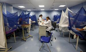 Προειδοποίηση Τσιόδρα για Δάγκειο πυρετό: Δεν μπορώ να φανταστώ κουνουπιέρες στα ελληνικά νοσοκομεία