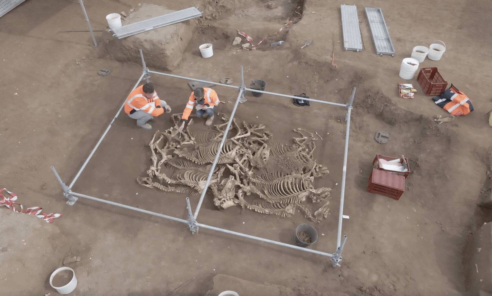 Ανακάλυψη της εποχής των Γαλατικών πολέμων: Ταφή «μυστήριο» 28 αλόγων πριν από 2.000 χρόνια