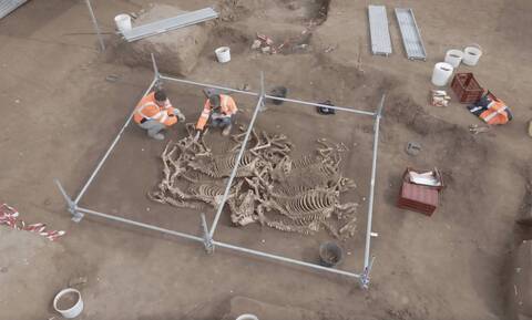 Ανακάλυψη της εποχής των Γαλατικών πολέμων: Ταφή «μυστήριο» 28 αλόγων πριν από 2.000 χρόνια