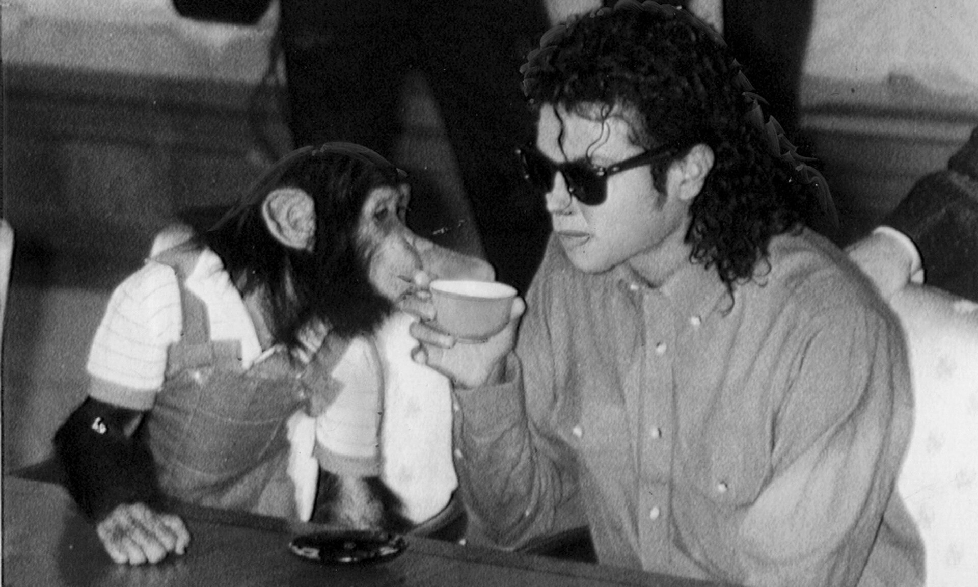 Θυμάστε τον Bubbles; Ο χιμπατζής του Μάικλ Τζάκσον ζει και βασιλεύει - Μόλις έγινε 40 ετών