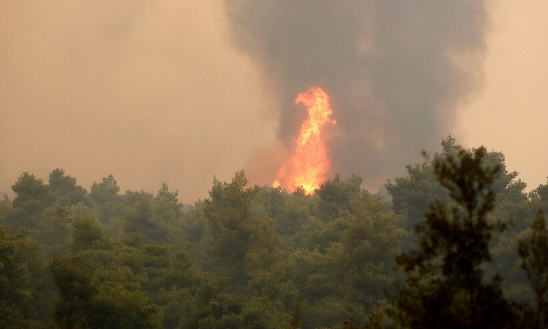 Πυροσβεστική: 25 αγροτοδασικές πυρκαγιές μέσα σε 24 ώρες