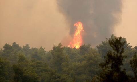 Πυροσβεστική: 37 αγροτοδασικές πυρκαγιές μέσα σε 24 ώρες