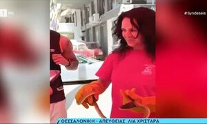 Θεσσαλονίκη: Ένα φίδι «σήκωσε στο πόδι» ολόκληρη πολυκατοικία - Πώς κατάφεραν να το διώξουν