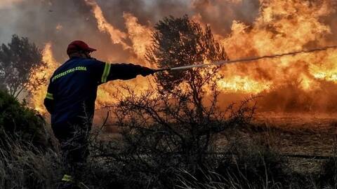 Λάρισα: Έσβησε η πυρκαγιά - Κατέστρεψε αγροτική έκταση και εξωτερικό χώρο μεταφορικής εταιρείας