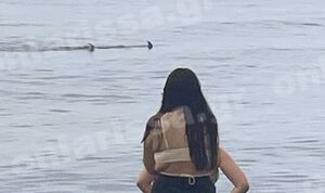 Λάρισα: Τρόμος για τους λουόμενους - Καρχαρίας κάνει τη... βόλτα του δίπλα στην παραλία