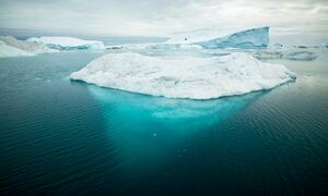 Μυστηριώδης «γιγάντιος» ιός εντοπίστηκε στη Γροιλανδία - Πώς επηρεάζει το λιώσιμο των πάγων