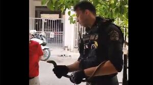 Περιστέρι: Αστυνομικοί «συνέλαβαν» φίδι  που όμως ήταν... σαύρα - Aφέθηκε ελεύθερο σε βουνό