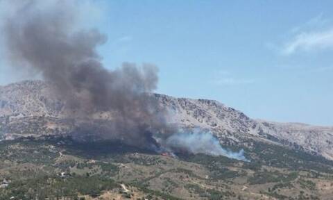 Συναγερμός στην Χίο: Ξέσπασε πυρκαγιά σε δασική έκταση στην περιοχή Ρεστά