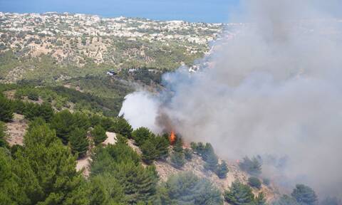 Φωτιά στη Χίο: Χωρίς ενεργό μέτωπο η πυρκαγιά στα Ρεστά