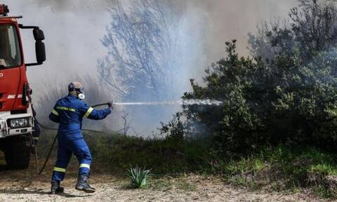 Φωτιά τώρα στις Σέρρες - Στη μάχη ισχυρές επίγειες και εναέριες δυνάμεις