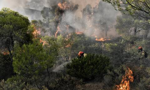 Φωτιές στην Ελλάδα: Πολύ υψηλός κίνδυνος πυρκαγιάς την Τετάρτη 12 Ιουνίου