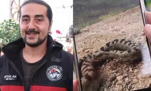 Τρόμος στην Τουρκία: Εθεάθη το πιο δηλητηριώδες φίδι στον κόσμο