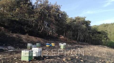 Σέρρες: Σύλληψη δύο μελισσοκόμων για πρόκληση πυρκαγιάς - Πρόστιμο 3881 ευρώ από την Πυροσβεστική
