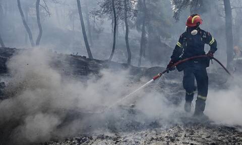Καλαμάτα: Υπό μερικό έλεγχο η πυρκαγιά στην Πλάτη της Μεσσηνίας
