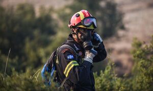 Φωτιά σε αγροτική έκταση στη Θήβα - Σηκώθηκαν εναέρια μέσα