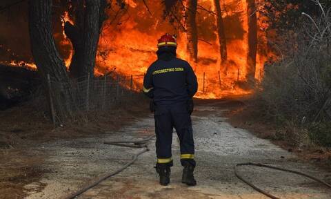 Πυροσβεστική: 44 αγροτοδασικές πυρκαγιές μέσα σε 24 ώρες
