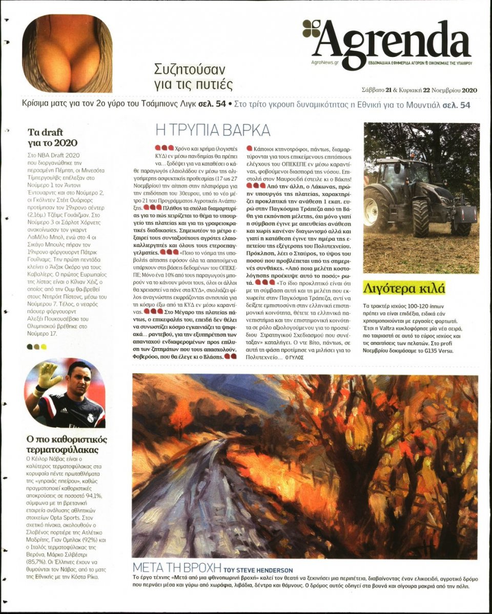 Οπισθόφυλλο Εφημερίδας - AGRENDA - 2020-11-21